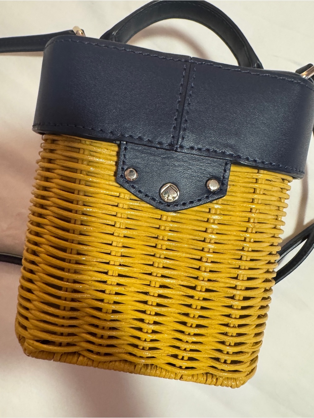 Kate Spade New York Rumi Wicker Medium Trunk - Picture 4 of 9